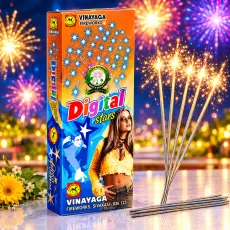 Digital Star's