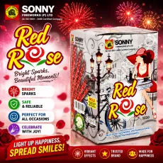 12 Rose